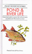 Pond and River Life - Forey, Pamela, and Forey, Peter