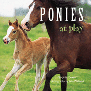 Ponies at Play