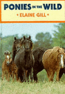 Ponies in the Wild - Gill, Elaine