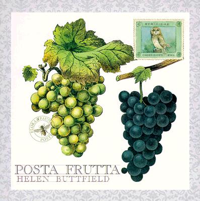 Posta Frutta - Postcard Book - Buttfield, Helen