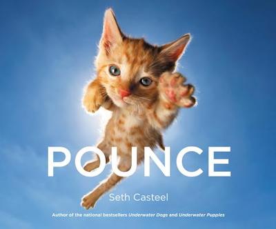 Pounce - Casteel, Seth