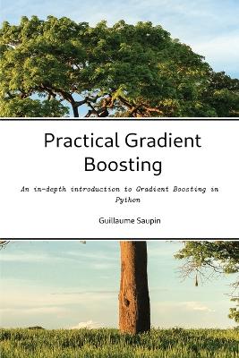 Practical Gradient Boosting - Saupin, Guillaume