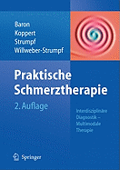 Praktische Schmerztherapie: Interdisziplinare Diagnostik - Multimodale Therapie