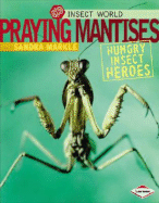 Praying Mantises: Hungry Insect Heroes