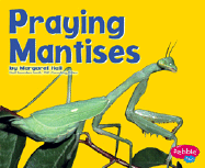 Praying Mantises - Hall, Margaret