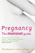 Pregnancy: The Mumsnet Guide: The Answers to Everything