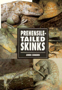 Prehensile-Tailed Skinks