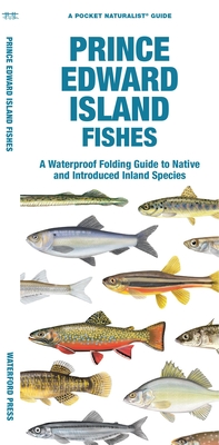 Prince Edward Island Fishes: A Waterproof Folding Guide to Native and Introduced Freshwater Species - Matthew Morris, Matthew Morris, and Waterford Press (Creator)