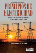Principios de electricidad: Teor?a, prctica y ejercicios resueltos y propuestos