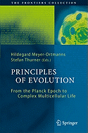 Principles of Evolution: From the Planck Epoch to Complex Multicellular Life