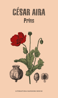 Prins (Spanish Edition) - Aira, Cesar