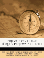 Prjevalsky's Horse (Equus Prejewalskii Pol.)
