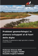 Problemi geomorfologici in pianura sviluppati al di fuori delle dighe