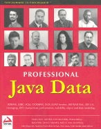 Professional Java Data