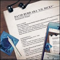 Professional Rapper - Lil Dicky