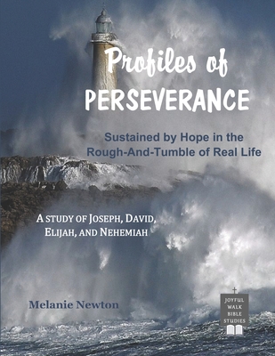 Profiles of Perseverance: Sustained by Hope in the Rough-and-Tumble of Real Life - Newton, Melanie
