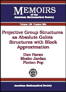 Projective Group Structures as Absolute Galois Structures with Block Approximation