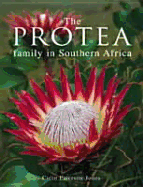Protea Family in Southern Africa