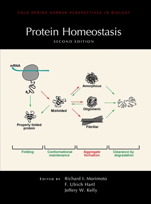Protein Homeostasis, Second Edition - Kelly, Jeffery W (Editor), and Hartl, Franz-Ulrich (Editor), and Morimoto, Richard