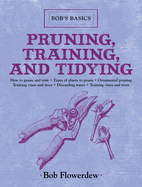 Pruning, Training, and Tidying: Bob's Basics