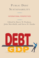 Public Debt Sustainability: International Perspectives