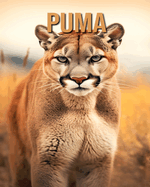 Puma: D?couvrez des Informations et des Images ?tonnantes Concernant les Puma