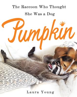 Pumpkin: The Raccoon Who Thought She Was a Dog - Young, Laura