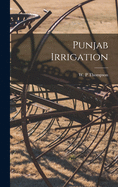 Punjab Irrigation