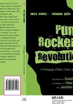 Punk Rockers' Revolution: A Pedagogy of Race, Class, and Gender - Steinberg, Shirley R (Editor), and Kincheloe, Joe L (Editor), and Malott, Curry Stephenson