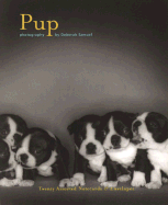 Pup Notecards: 20 Assorted Notecards and Envelopes+