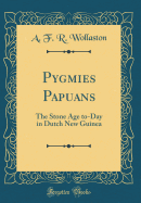 Pygmies Papuans: The Stone Age To-Day in Dutch New Guinea (Classic Reprint)