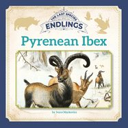 Pyrenean Ibex