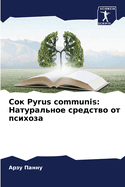 Pyrus communis