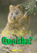 Quokka