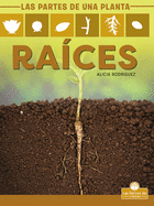Races (Roots)