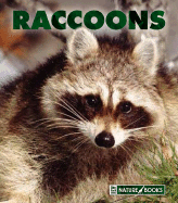 Raccoons - Merrick, Patrick