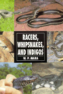 Racers, Whipsnakes and Indigos