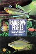 Rainbow Fishes: Keeping and Breeding Them in Captivity
