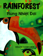 Rainforest