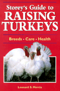 Raising Turkeys