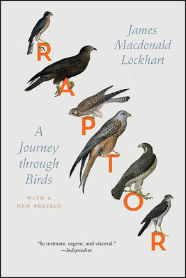 Raptor: A Journey Through Birds - Lockhart, James MacDonald (Preface by)