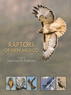 Raptors of New Mexico
