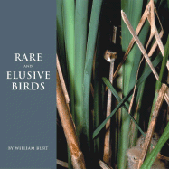 Rare and Elusive Birds of North America