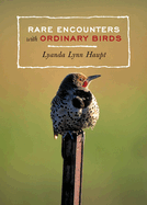 Rare Encounters with Ordinary Birds (Large Print 16pt)