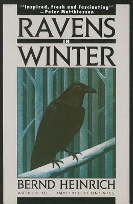 Ravens in Winter - Heinrich