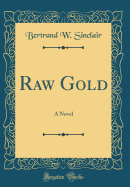 Raw Gold: A Novel (Classic Reprint)