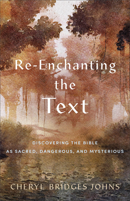 Re-enchanting the Text - Johns, Cheryl Bridges