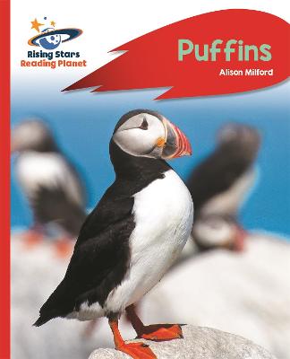 Reading Planet - Puffins - Red A: Rocket Phonics - Milford, Alison