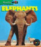 Really Wild: Elephants Paperback