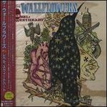 Rebel Sweetheart [Bonus Track] - The Wallflowers